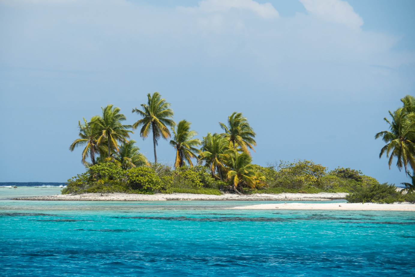 Motu avec des cocotiers